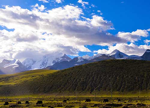 8 Days Lhasa to Namtso Lake Biking Tour