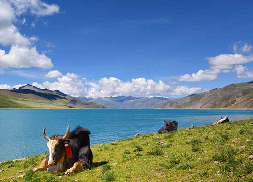 Tibet Weather