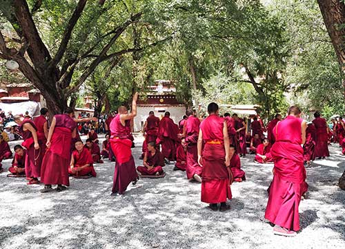 7 Days Kathmandu Lhasa Highlights Tour by Flight
