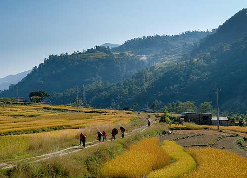 16 Days Himalayan Countries Tibet, Nepal and Bhutan Tour