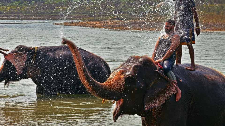 Chitwan National Park — a day in the jungle