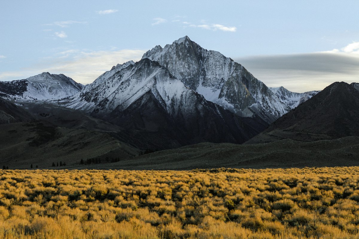 Base camp in winter light