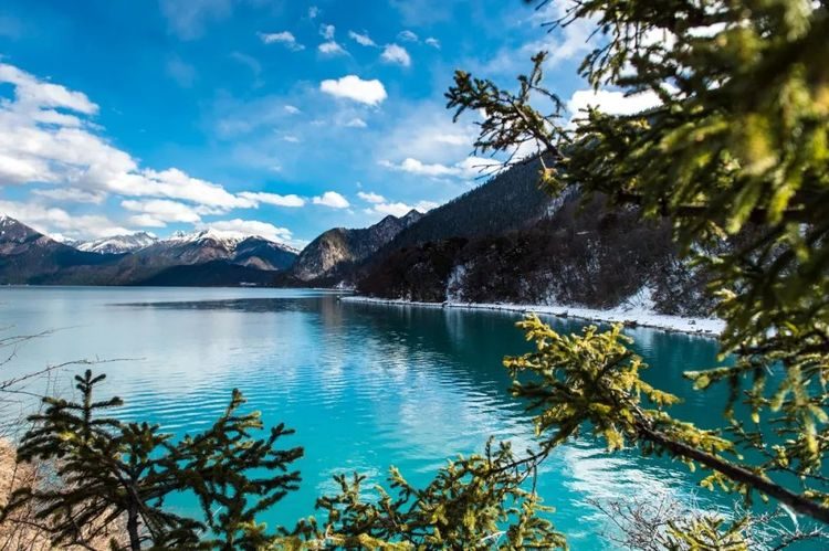 Basum Tso lake seen through pine trees, eastern Tibet