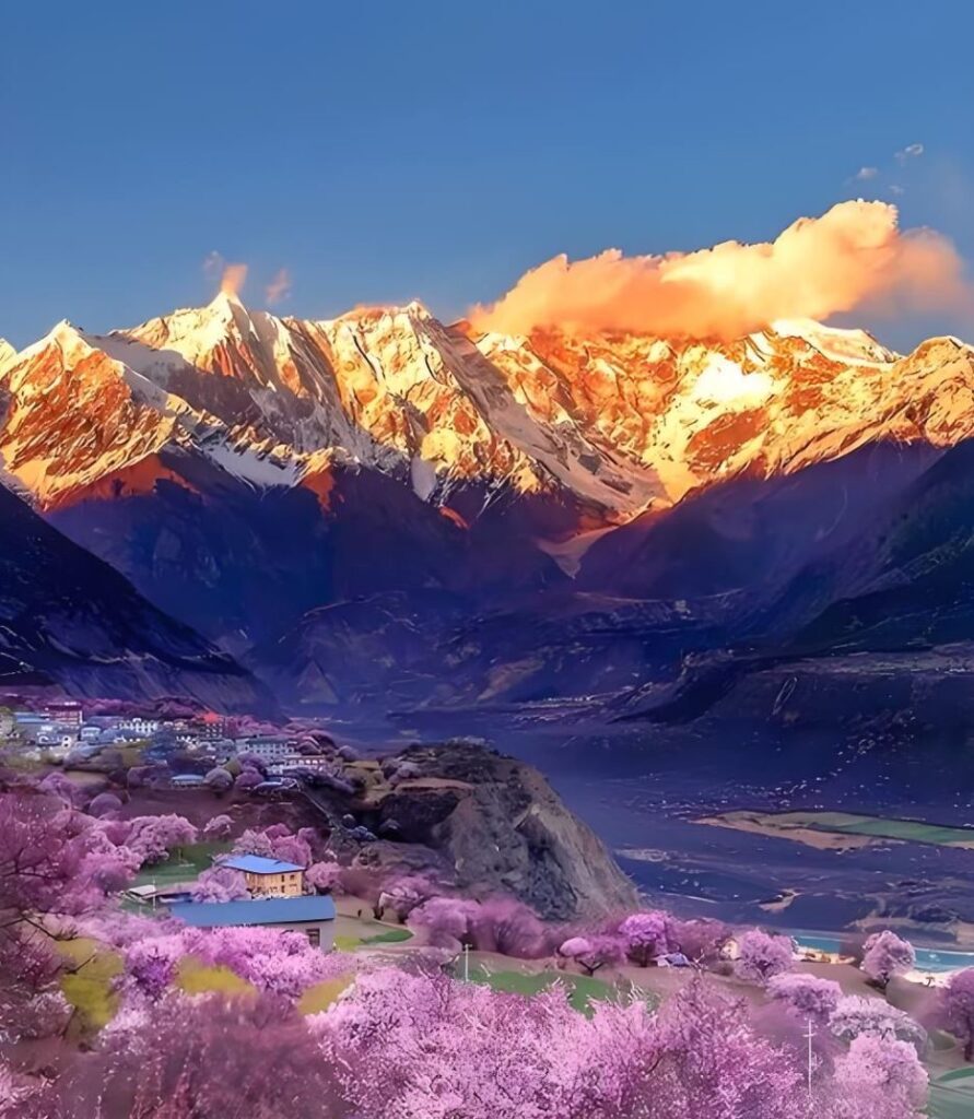 Snow peaks glowing at sunset above a Nyingchi valley