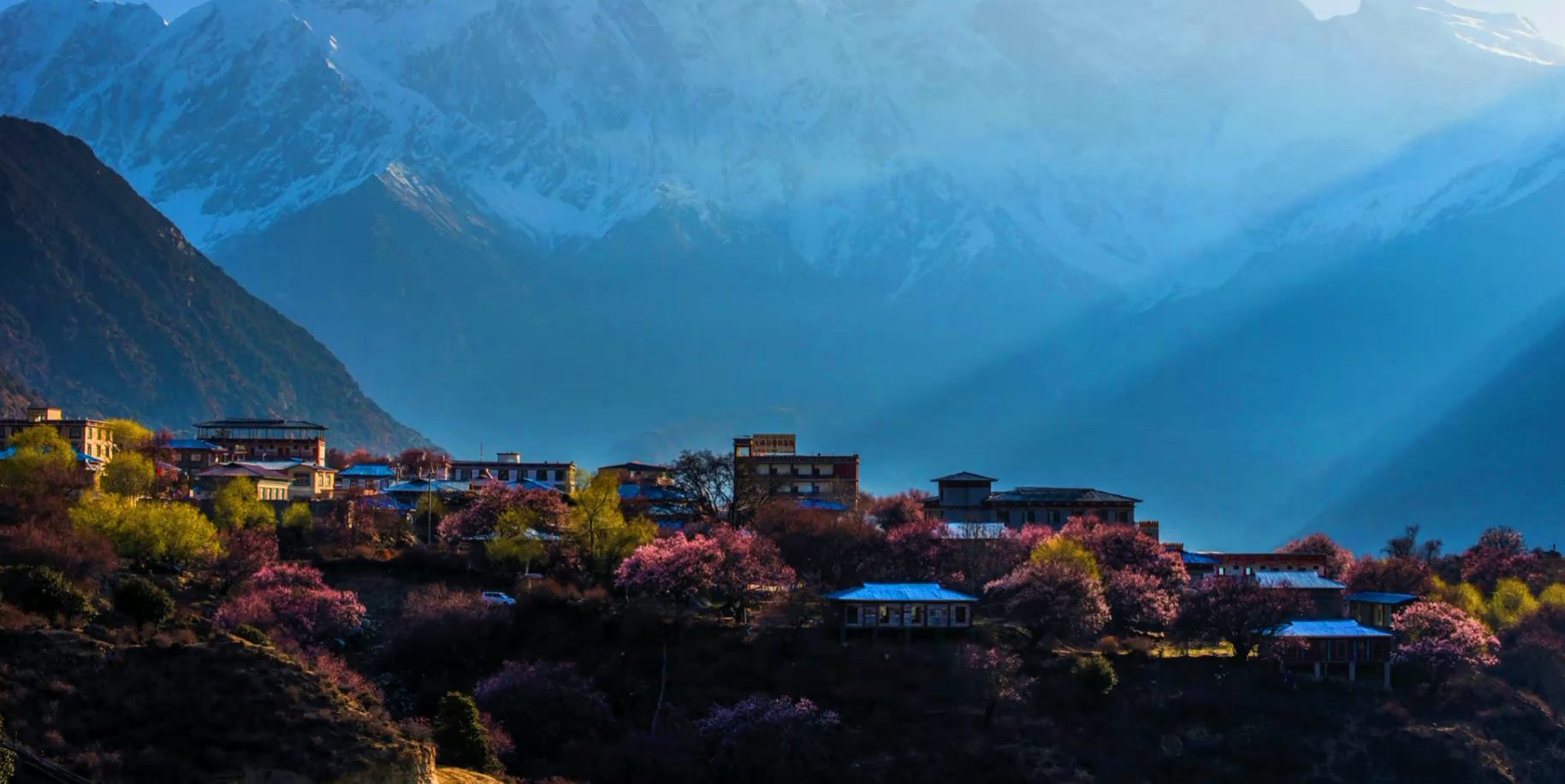 Peach blossom village below blue mountains, Nyingchi