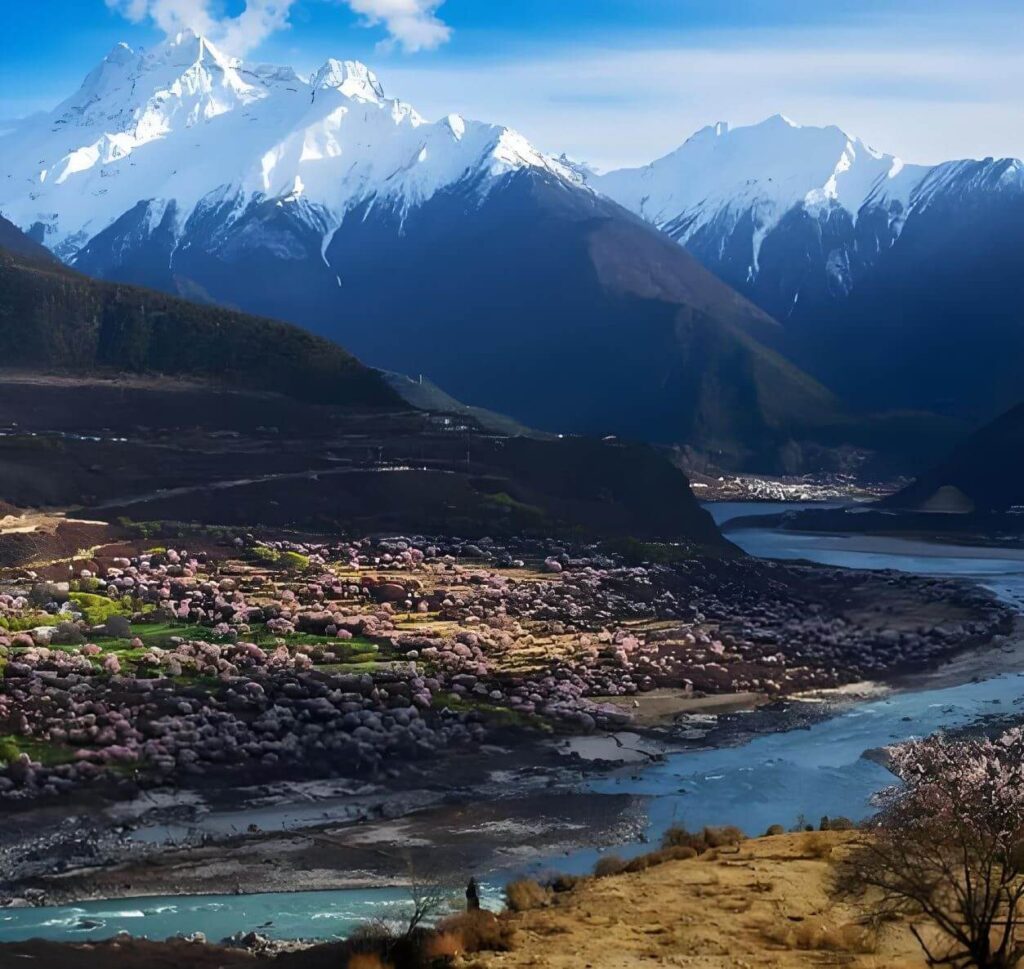 Spring valley below snow peaks between Nyingchi and Lhasa