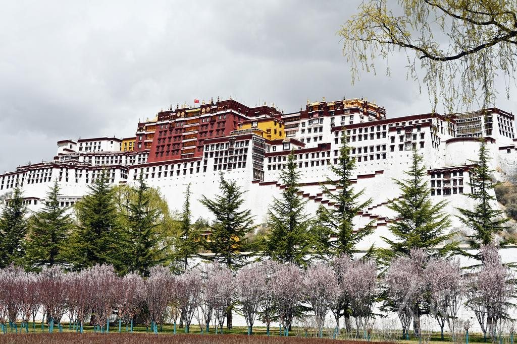 Potala Palace in Lhasa with spring blossom in front, late March