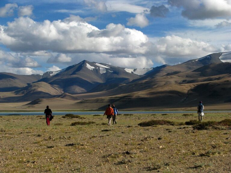 Walkers on the grassy shore of Yamdrok Lake