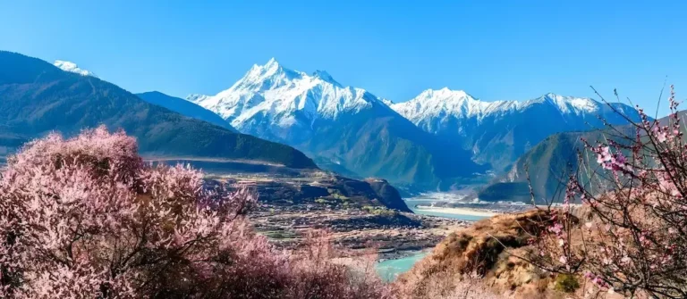 Peach blossom and snow peaks in Nyingchi