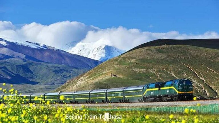 Qinghai–Tibet train passing yellow flowers below snow peaks