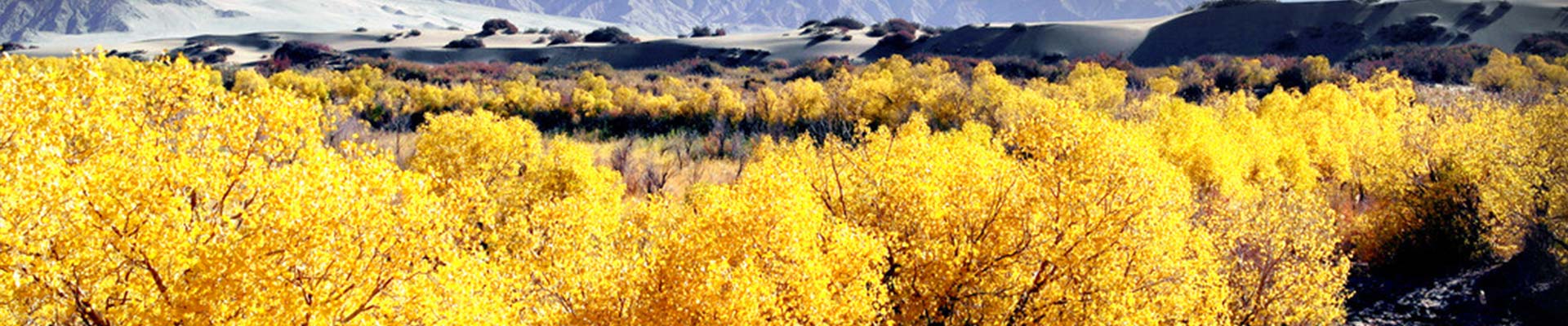 Tibet